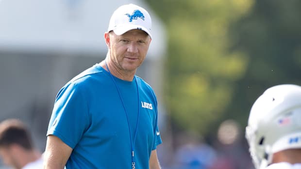 darrell-bevell-lions.jpg